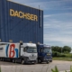 Dachser-Brummer